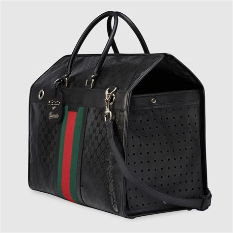 gucci pet carrier